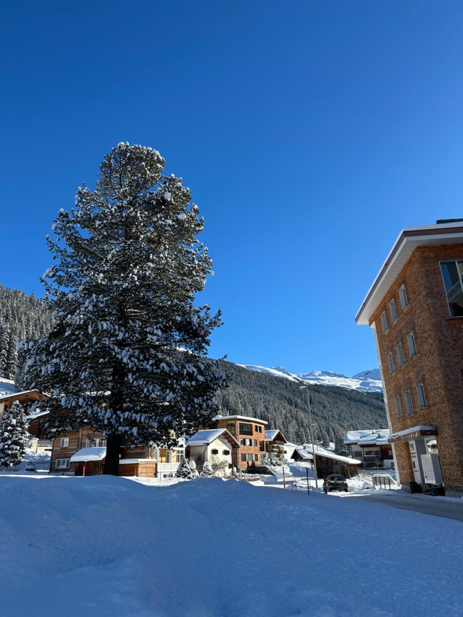 Bijou Clavadel Apartment Davos Exterior photo